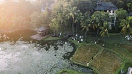 Aerial view at sunset of a tropical garden with water basin and terraced rice paddies, palm trees and gathered guests