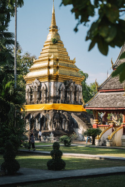 Traditional golden Buddhist chedi with carved elephants and green garden Chiang Mai