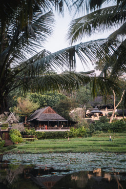 Traditional Thai waterfront pavilion surrounded by palm trees and rice paddies Four Seasons Chiang Mai