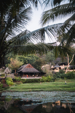 Traditional tropical villa surrounded by rice fields and palms in Indonesia, Bali destination wedding videographer location shot