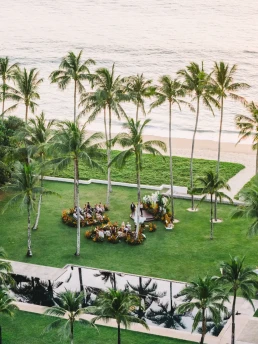 Aerial view of an intimate wedding reception beneath palm trees in Thailand