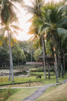 Palm-lined garden path at a tropical wedding resort in Krabi, Thailand