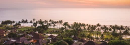 Palm trees and tropical coastline at night during a multi-day destination wedding weekend